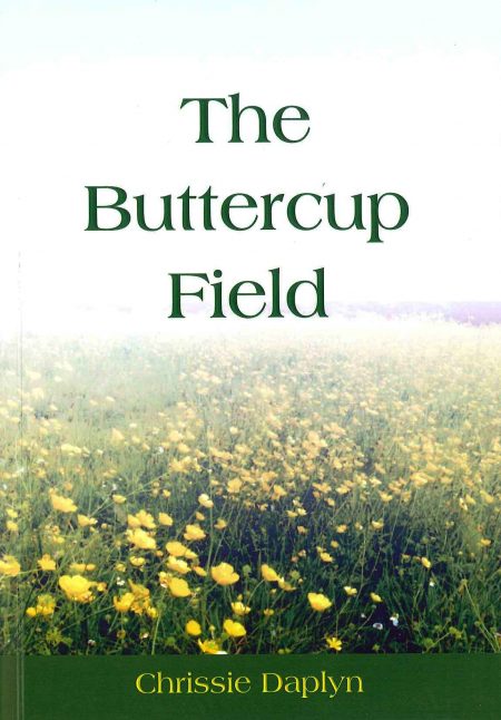 The Buttercup Field by Chrissie Daplyn