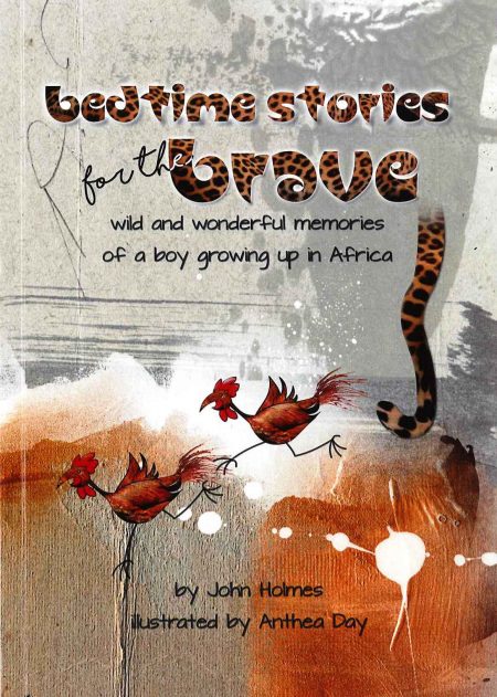 Bedtime Stories for the Brave by John Holmes and illustrated by Anthea Day