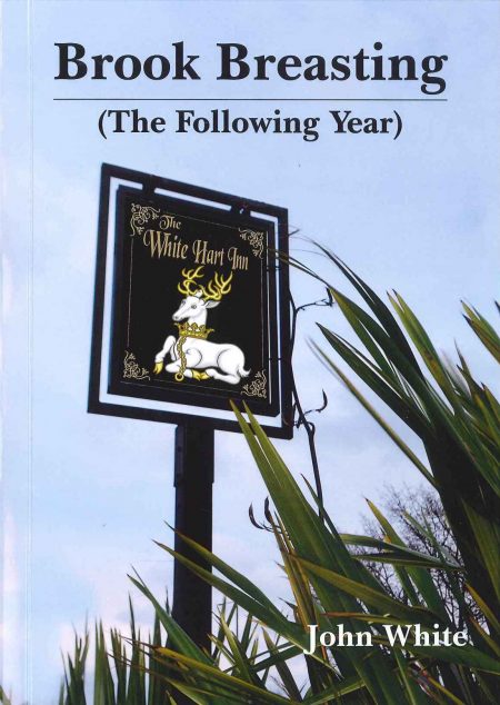 Brook Breasting (The Following Year) by John White