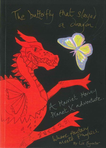 The Butterfly That Slayed A Dragon by Liz Bywater
